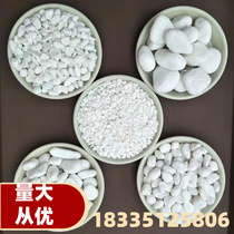 Hubei white stone landscaping stone white pebble stone Nanjing Yuhua stone fish tank succulent pavement hydroponics