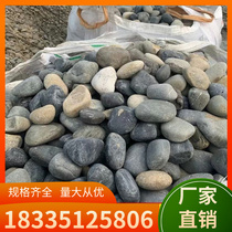 Guangdong River Pebble Multi-Specification Transformer Substation Filtered Pebble Sewage with Pebble Sewage