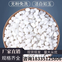 Shandong white stone stone large cobblestone courtyard paving small white stone garden dry landscape white stone