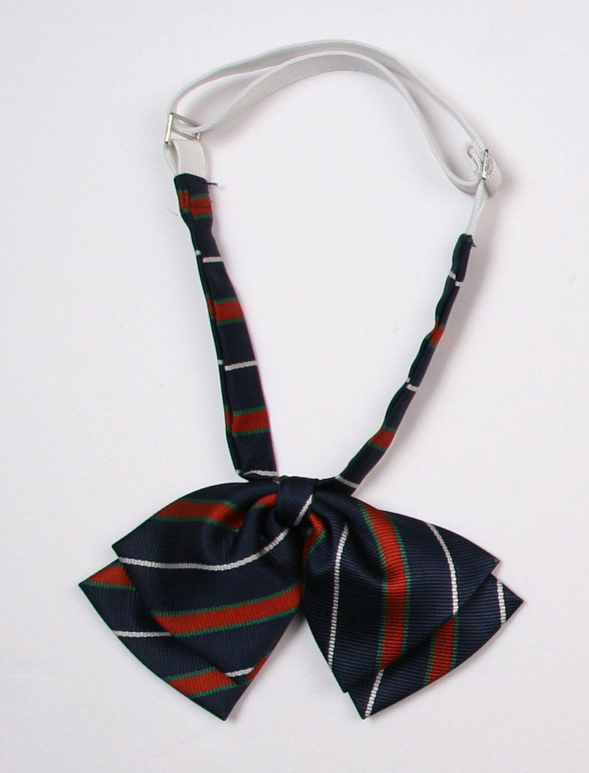 The Eaton Guild of women leads the 09D203 in the 09D203