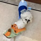 Демисезонный пуховик, милая шапка с капюшоном, увеличенная толщина