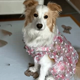 Летний милый наряд маленькой принцессы для принцессы, подходит для подростков, цветочный принт