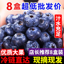 Mountain fresh blueberry king fresh fruit boxed season high mountain freshly picked food supplement for pregnant women and babies large fruit whole box cold chain package