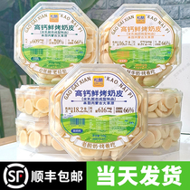 Pine cheese high calcium fresh baked milk skin 118g milk flavor Inner Mongolia specialty milk slices fresh milk biscuits childrens snack nutrition