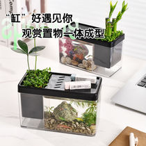 Desktop micro landscaping transparent household bucket aquarium creative student dormitory pen holder office storage goldfish tank