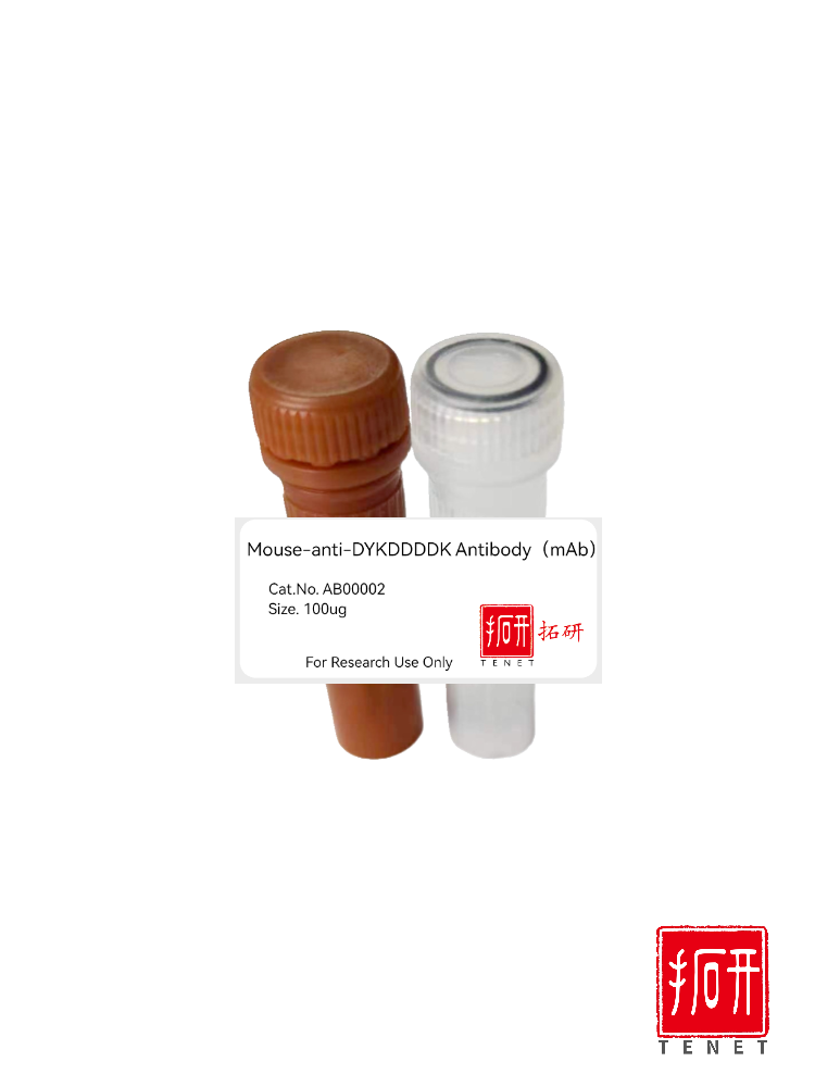 鼠抗DYKDDDDK单克隆抗体/Mouse-anti-DYKDDDDK Antibody（mAb）