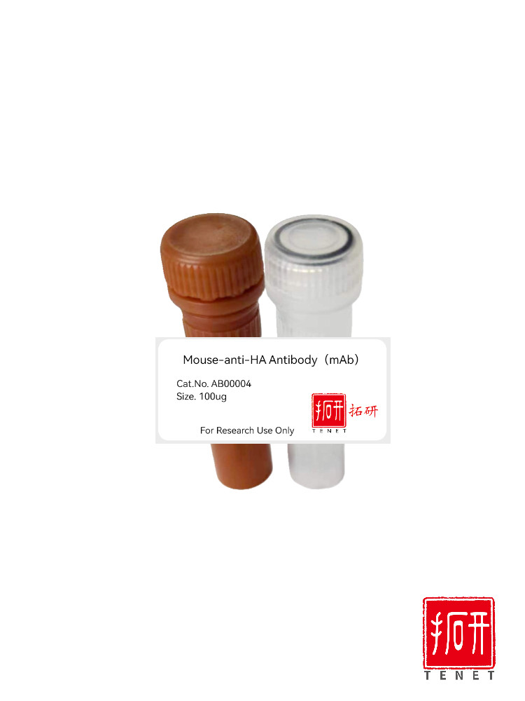 鼠抗HA单克隆抗体/Mouse-anti-HA Antibody（mAb）/HA标签抗体