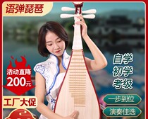 Adults and children play old material mahogany pipa for beginners self-study musical instrument professional examination rosewood
