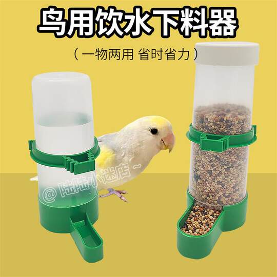 Parrot Feeder, Water Dispenser, Splash-Proof Bird Food Box, Automatic Parrot and Quail Water Bottle, Bird Food Container, Food Dispenser