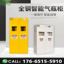 Safety cabinet full steel cylinder cabinet explosion-proof acetylene hydrogen oxygen coal gas tank gas storage single double bottle steel bottle cabinet