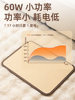 Jiu Jin Heated Foot Warmer Pad, Heating Artifact for Office, Graphene Floor Heating Pad, Electric Heating Pad for Home, Winter