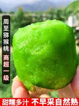Shaanxi Week to Green Heart goosebumps fresh 10 Big fruits When season the whole box Fruit Pregnant Woman Chieca Non Xu fragrance