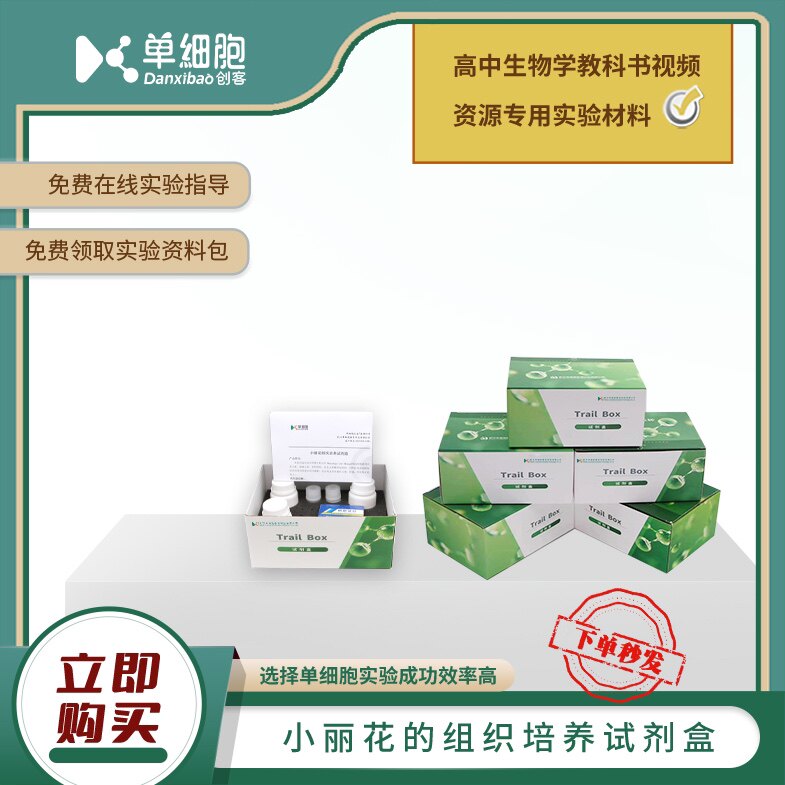 小丽花的组织培养试剂盒  高中生物组培实验专用