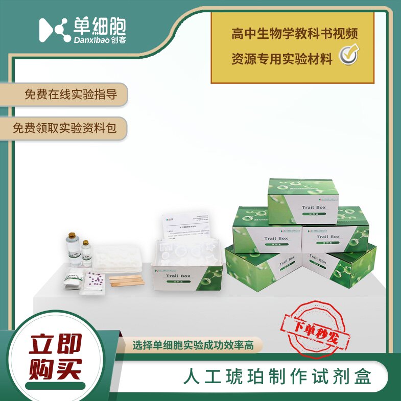 人工琥珀制作试剂盒   生物实验课程专用