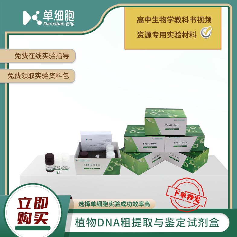 植物DNA的粗提取与鉴定试剂盒 适用于高中生物必修实验