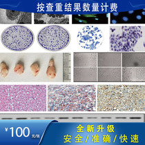 Picture plagiarism check all types of picture plagiarism check scratch fluorescent stained cell sections wb electron microscope eagle eye
