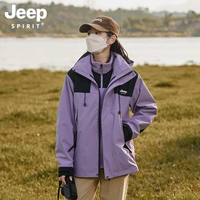 Съемный вкладыш, «три в одном»