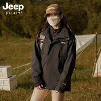 Черный съемный вкладыш, «три в одном»