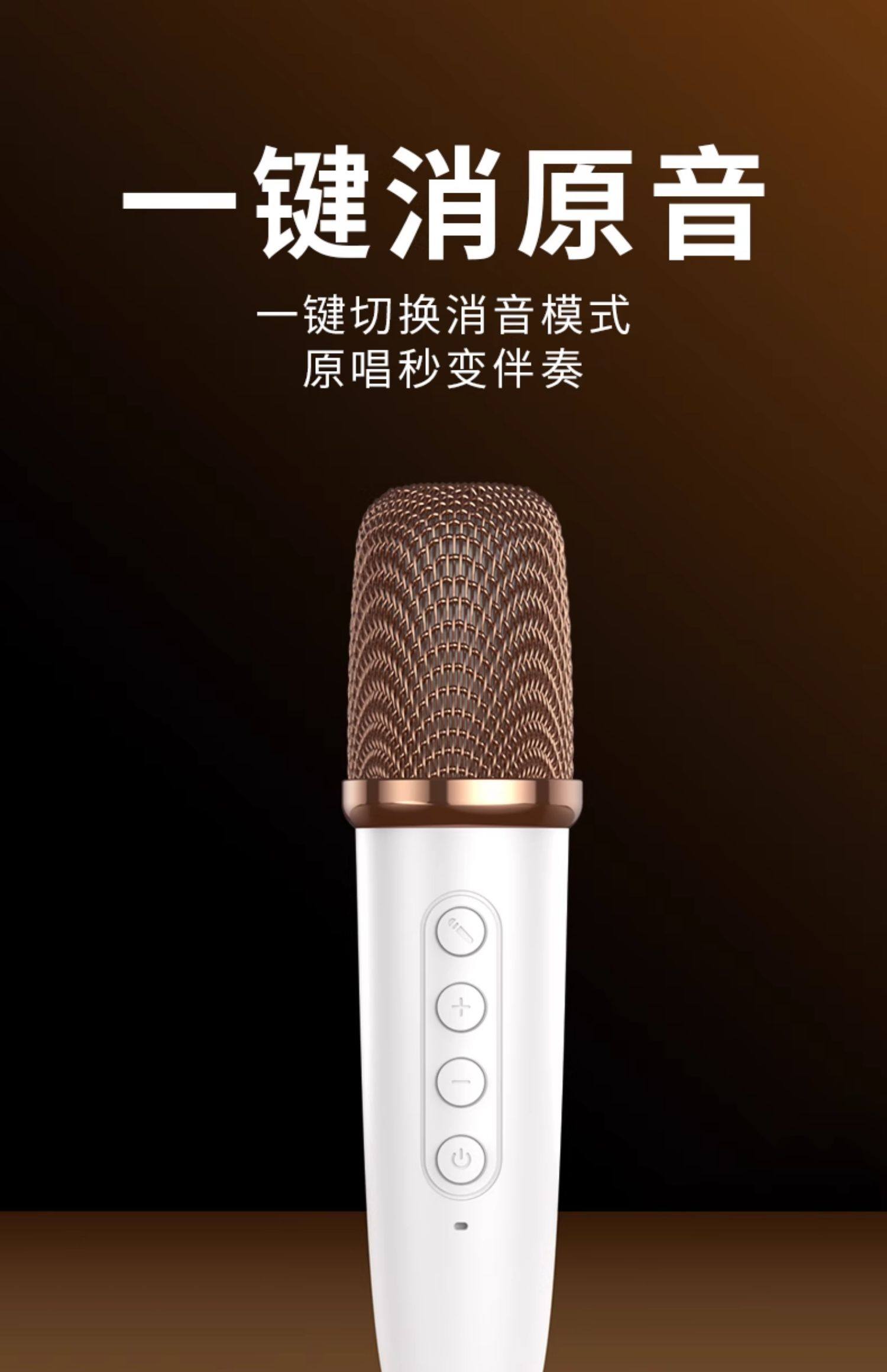 蓝牙音箱家庭ktv话筒音响一体麦克风k歌音箱户外家用蓝牙音响礼物详情22