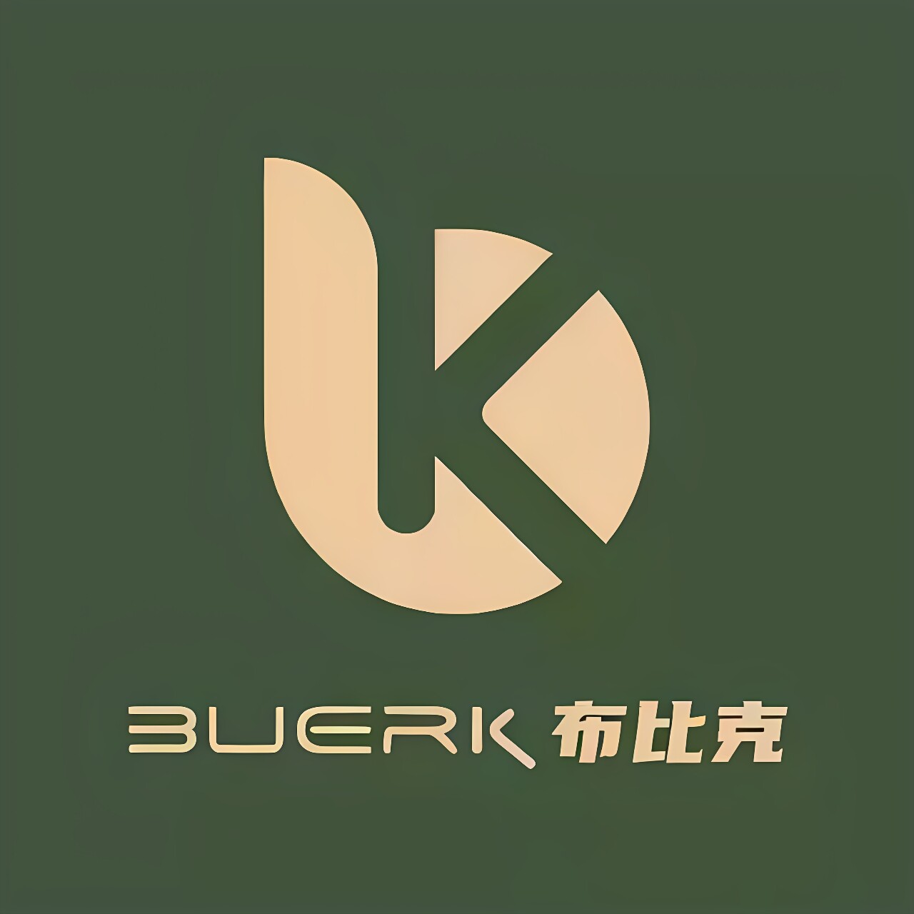 BUERK布比克品牌店的LOGO
