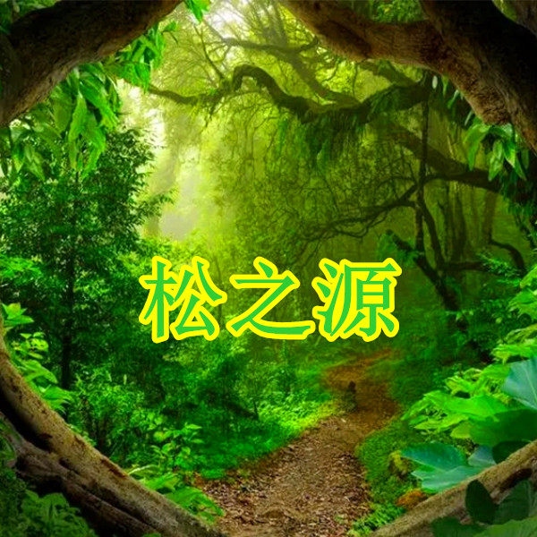 松之源木业
