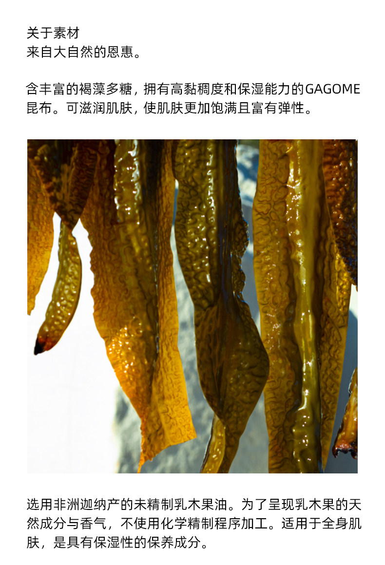 【日本直邮】SHIRO 新款伯爵红茶 护手霜/护手精华 55g