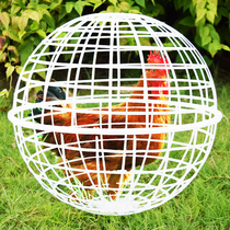 Net Red Walking Ground Chicken Cage Subplastic Spherical Chicken Coop Round Rabbit Cage scrollable scenic area walking foraging and feeding loose chicken coop