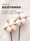 Class a Japanese-Style All-Cotton Bed Sheet Single Piece 100% Pure Cotton Linen Student Dormitory Single Thickened Quilt Cover Pillowcase Three-Piece Set