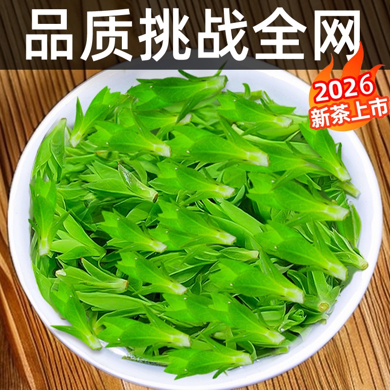6A Yuqing Xiaoye Kuding Tea Tender Buds Premium 2026 New Tea Green Tea Guizhou Wild Green Mountain Green Water Holly