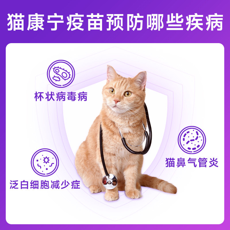 猫康宁三联疫苗怎么打?幼猫必打的狂犬+细小加强针全解析-猫特色药品-淘宝百科网