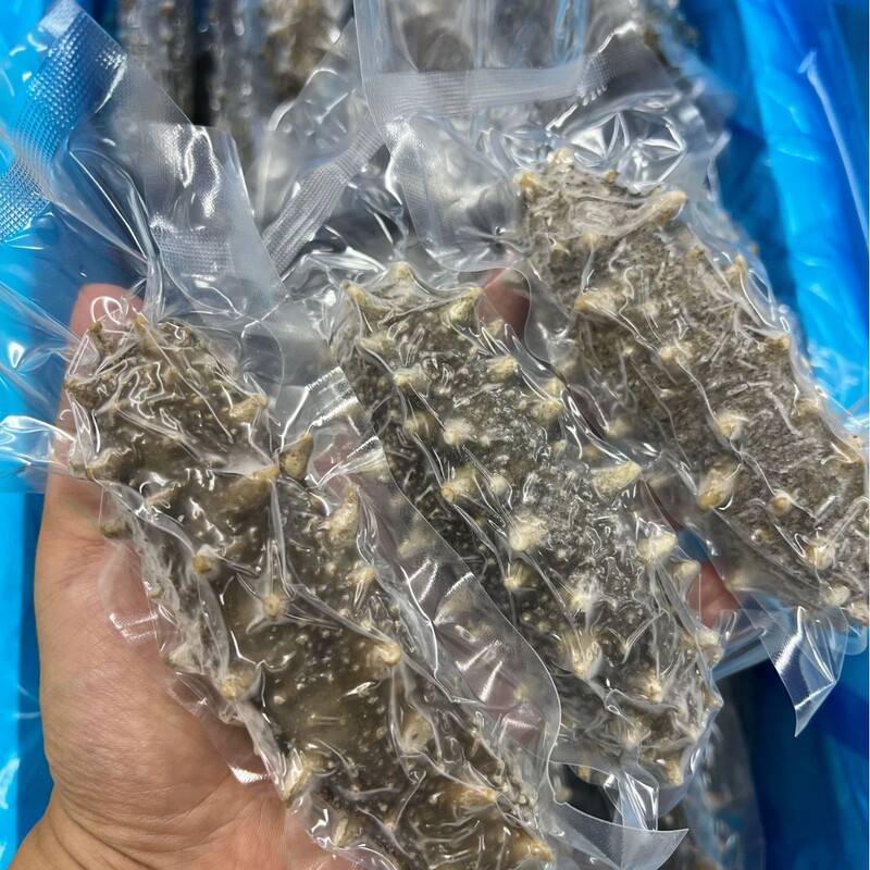 Sam Pang Dong Lai Ming Zun 10A Grade Dalian High-End Ready-To-Eat Sea Cucumber 500g Ready-To-Eat Sea Cucumber  Shipment