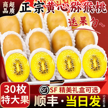 Authentic sichuan yellow heart kiwi 30 pieces large fruit fresh fruit for pregnant women sf express mid-autumn festival gift box kiwi golden fruit