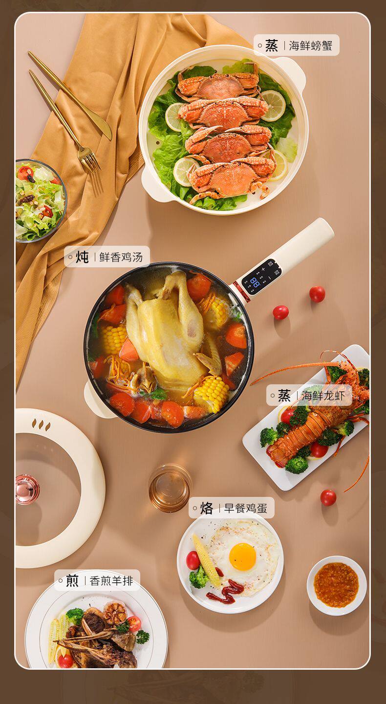 Плиты 德国电炒锅一体炒菜多功能电煮锅全能家用大功率煎炒蒸煮电热火锅 OTHER