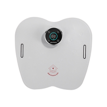 Xingjiakang Pet Red Light Infrared Physiotherapy Mat for Elderly Cats and Dogs Recovering from Traumatized Limbs and Arthritis Bones