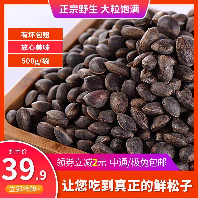 Wild Yunnan Songzi Grade Extra Large 2023 New cargo pregnant women Fresh raw Songzi Bulk large particles Non-Northeast-Taobao