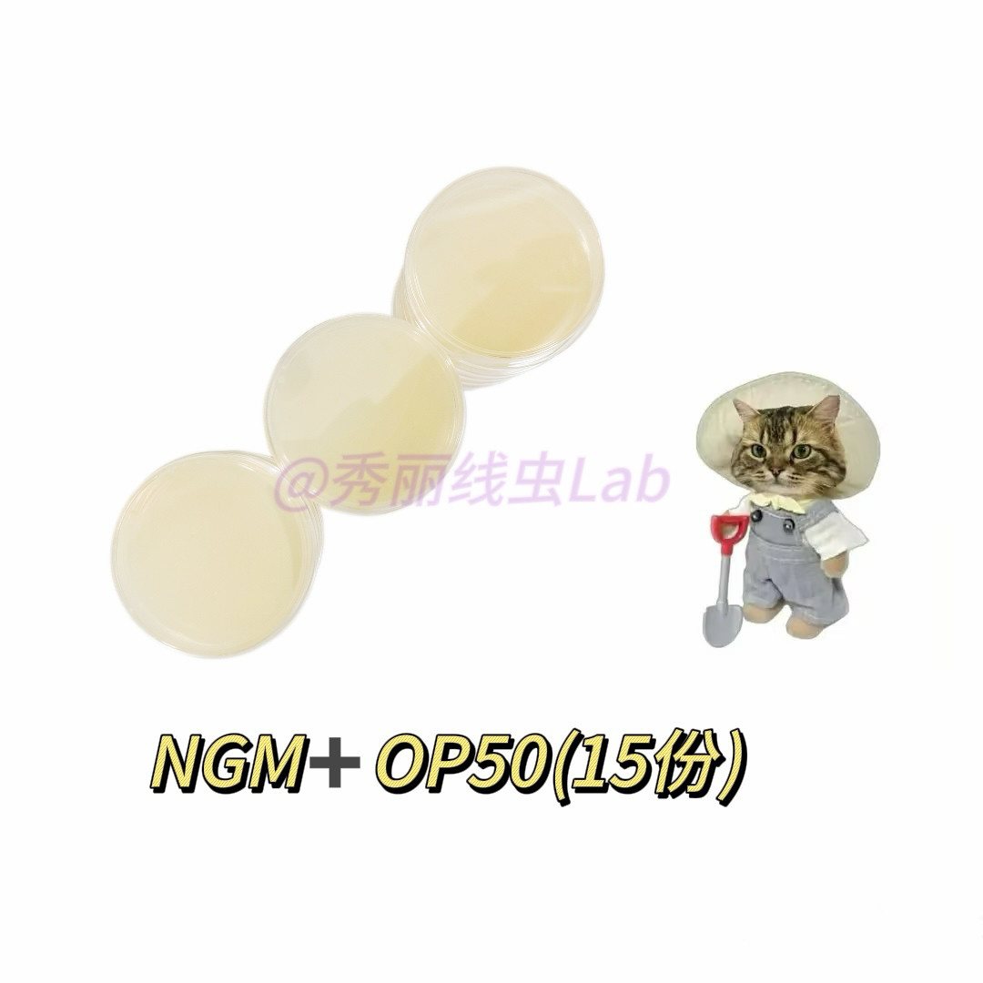 秀丽线虫实验必备？了解NGM+OP50即用平板的奥秘-培养板-淘宝百科网