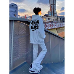 American High Street Heavyweight Hooded Sweatshirt for Men, Autumn and Winter 2025, Fleece-Lined and Thickened, Oversized Trendy Brand, Cool and Stylish Jacket