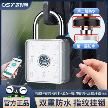 Fingerprint Password Padlock Stainless Steel Outdoor Waterproof Rural Gate Courtyard Door Remote Control Smart Digital Lock