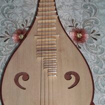 Professional Liuqin Rosewood Liuqin