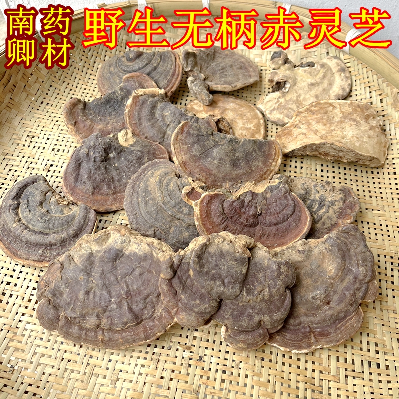 Wild Without Handle Red Lingzhi Dry Goods Chinese Herbal Medicine Yunnan Mountain Rare is more cost-effective to calculate the whole branch has a bitter taste-Taobao