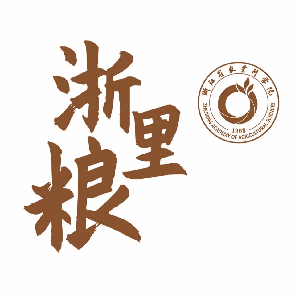 浙里粮