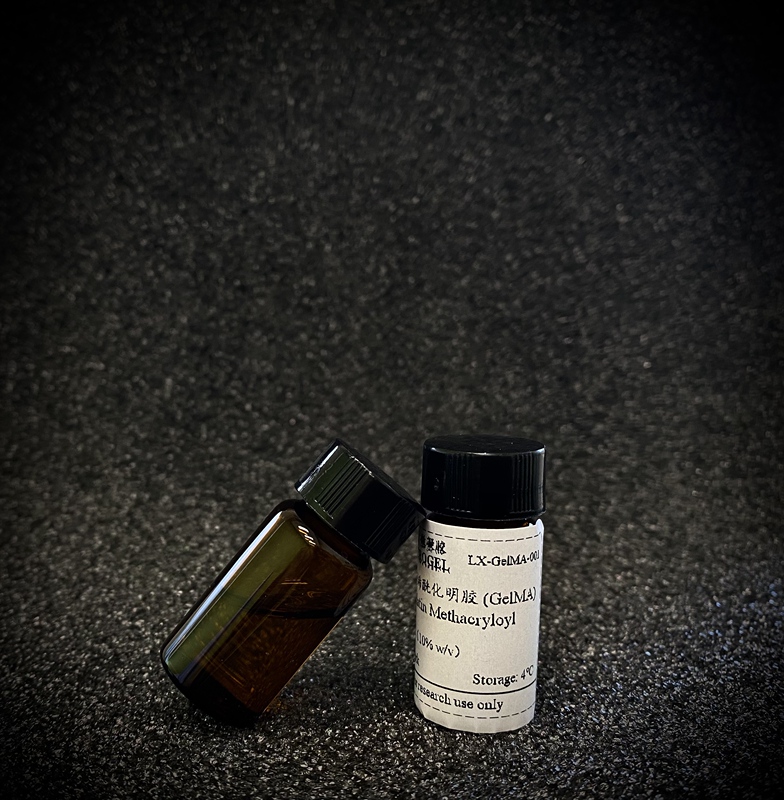 Methylacrylated Gelatin, Alginate, Hyaluronic Acid, Chitosan Gelma, Algma, Hama, Csma