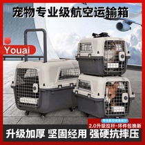 Air China standard pet flight box for dogs and cats medium-sized dogs and large dogs international aircraft standard trolley luggage box