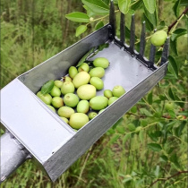 New jujube picking machine manual agricultural fruit picker anti-prick hand picking wild jujube tool