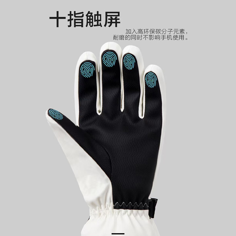 Kevlar Professional Ski Gloves with Built-In Wrist Guards, Warm Gloves for Men and Women, Winter Cycling, Snow Mountain, Waterproof, Touch Screen