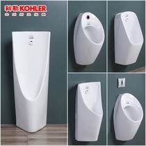 Koller Penalty K16321 Wall Pill Pool 5777 Automatic Integrated Sensing Floor Household Pepper