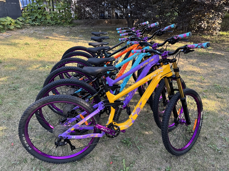 Rex Overmountain 2.0 Ultra Soft Tail Mountain Bike Downhill Dual Suspension 26/ 27.5inch Off-Road Youth