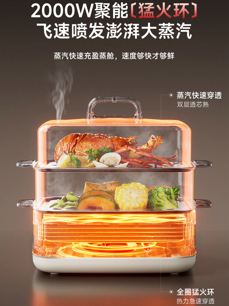 Bear Electric Steamer for Home Use, Multifunctional Three-Layer Stainless Steel Large Capacity Steamer, Steaming Box, Can Simmer, New Model
