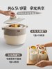 Bear Electric Stew Pot Fully Automatic Household Water-Separation Stew Cooker Ceramic Stew Pot for Cooking Bird's Nest Soup and Porridge
