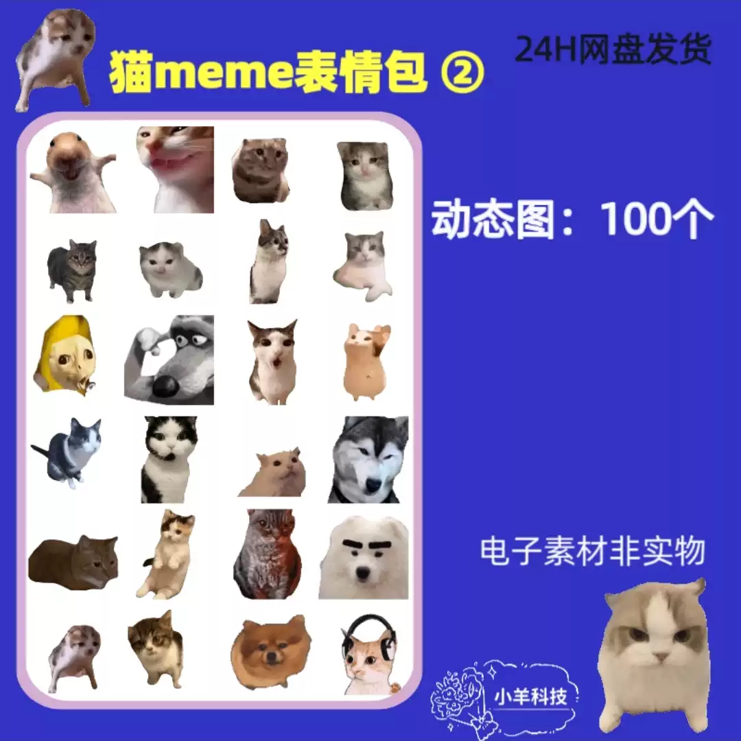 抖音熱門沙雕搞笑貓meme動態表情包微信聊天用貓meme圖片